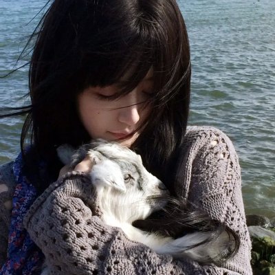 状王宋世杰粤语
